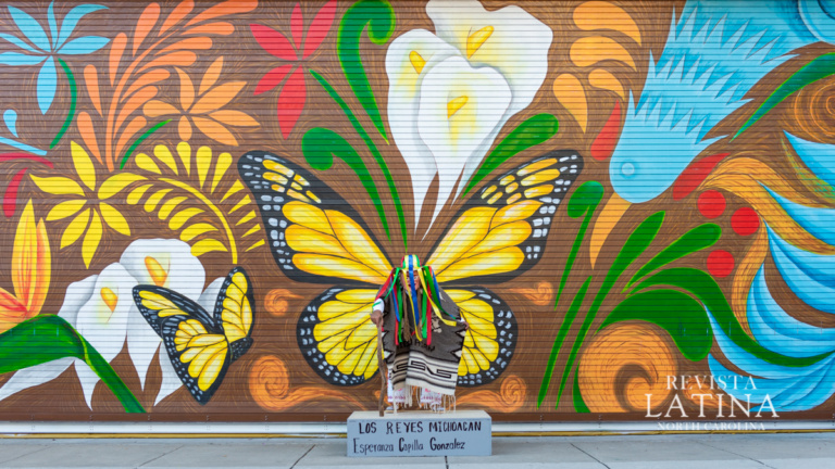 revistalatinanc.com   2020 23 1 768x432