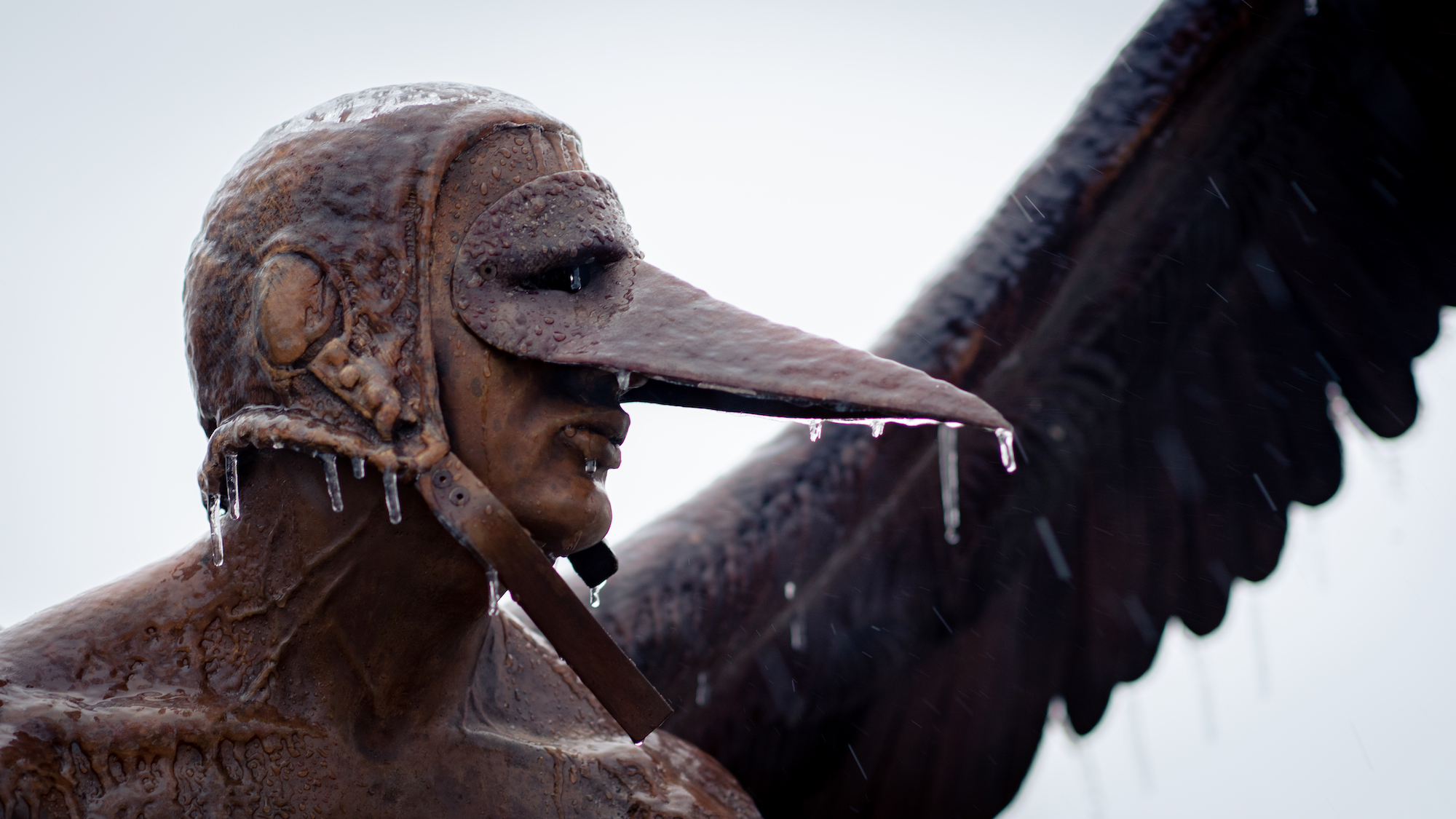 Exposición Fotográfica “Alas de la ciudad: Esculturas bajo un invierno helado en Carolina del Norte” por Edgar Bernal