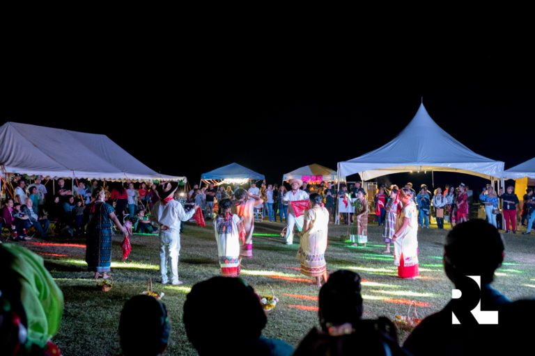 revistalatinanc.com ranita independencia2023 61 2 768x512