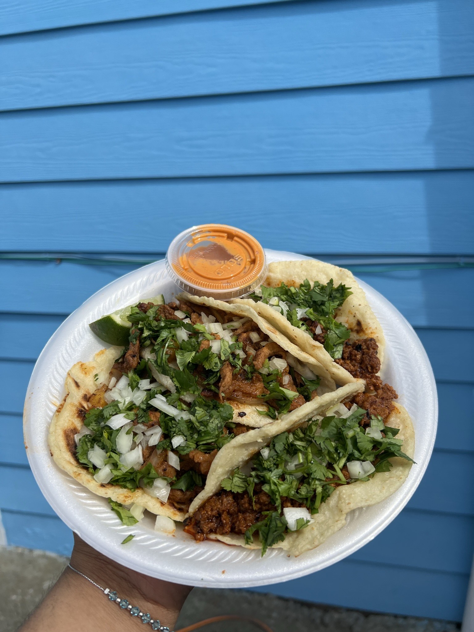 ElSazondeMiHuasteca01