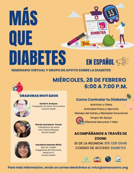 Más que Diabetes: Seminario Virtual y Grupo de Apoyo sobre la Diabetes