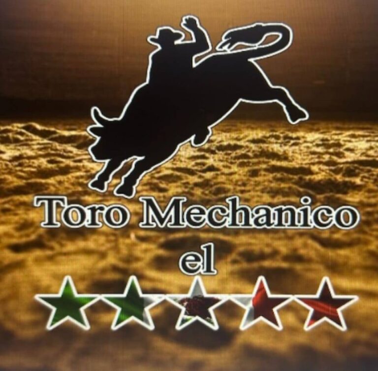 toro mecanico 5 estrellas 1 768x755